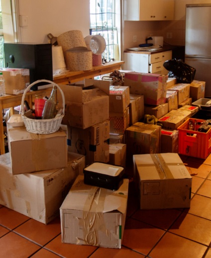 Domestic Relocation